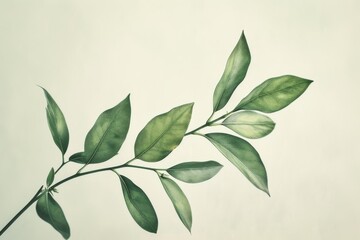 Sticker - beautiful botanical illustrations