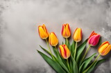 Fototapeta Tulipany - Colorful Tulips on Concrete with Space