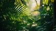 The serene beauty of a lush tropical forest is captured in this image, where the interplay of light and shadow dances across vibrant green palm leaves.