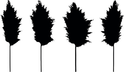 Wall Mural - pampas grass silhouettes, black on white, minimalist design, modern aesthetic, natural decor, wall a