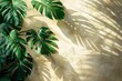green tropical leaves monstera cast a shadow on the background of the sunlit wall with copy space