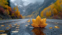 A Leaf Sitting On The Side Of A Wet Road In The Middle Of A Forest With Mountains In The Background.