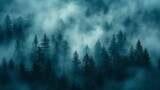 Fototapeta  - A pine forest enveloped in an ethereal fog in blue undertone