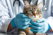 A veterinarian examines a sick cat at a veterinary hospital.  AI generated