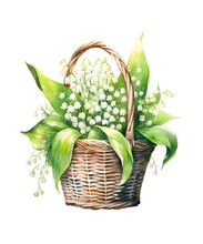 Wicker Basket With Flowers Illustratio…