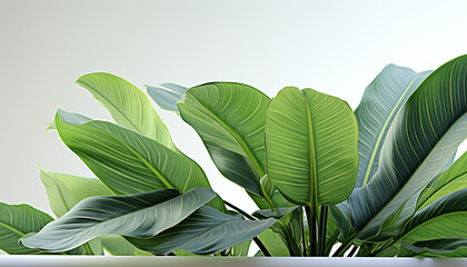 Poster - Fresh green leaves grow on a plant in a tropical forest generated by AI