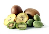 Fototapeta Storczyk - various,colorful kiwi fruits close up