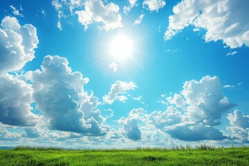 Canvas Print - Blue sky and green field landscape