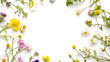 Field wild flowers arranged in a circle with empty blank space in the middle, round frame made of natural wild flowers on white background.