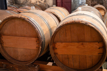 Wine cellar with wooden barrels in old wine domain on Sauternes vineyards in Barsac village affected by Botrytis cinerea noble rot, making of sweet dessert Sauternes wines in Bordeaux, France