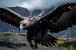 Powerful Condor: Soaring Close-Up View