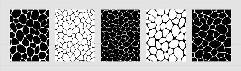 Fototapete - Black and white voronoi backgrounds vector set. Irregular geometric cells backdrops. Stones template covers collection for web tiles and brochures, science cards and interior designs.