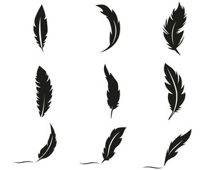 Wall Mural - Feather collection silhouette, black quill detailed vector illustration