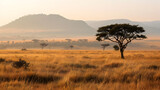 Fototapeta Sawanna - Tree in the middle of nowhere,,
Savanna landscape in Africa, Amboseli, Kenya Pro Photo

