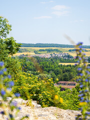 Wall Mural - Summer panorama from a hill in Normandy