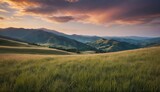 Fototapeta Na ścianę - A tranquil sunset over rolling green hills with lush grass in the foreground and distant mountains under a soft sky. Generative AI.