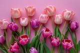Fototapeta Tulipany - Beautiful bouquet of pink tulips flowers, an abstract background