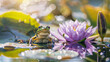 Sunny Leap Day Celebration, Frog on a Lily Pad with Water Background, Splendid Purple Water Lily Flower, Happy Leap Day - Nature and Event Themed Stock Image