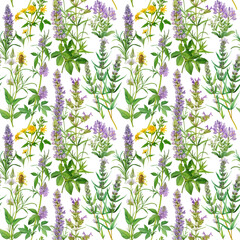 Wall Mural - Floral seamless pattern from a set of wild flowers and herbs on a white background. Design for wallpaper, posters, cards, wrapping paper and textiles.