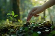 © panu101 - Image of a cute girl putting coins into a jar. Green forest background with morning light bokeh.
