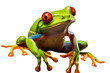 Red eyed tree frog isolated on transparent background - Ai Generated
