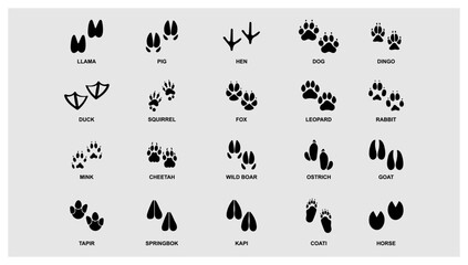 Set of animals and birds,trace steps imprints trails with name Animals paw prints. Cartoon mammal footprints