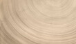 Natural unfinished wood slice tree rings background. Smooth curved lines in a spiral pattern.