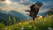 bald eagle in the grass