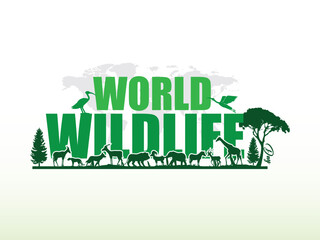 Wall Mural - World Wildlife Day is about forest animals, and World Wildlife Day is about forest animals and the life cycle of forest animals. World Wildlife by Animals on Earth, Wildlife Concepts