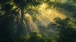 © Mickey - Sunlit Forest Serenity - A sun-drenched forest awakens with vibrant life as rays of light warm the lush foliage.