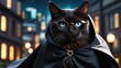 Black cat wallpaper, There is a black cat who is wearing glasses in his eyes and he is also wearing clothes