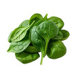 fresh spinach leaves isolated, png