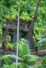 Wall Mural - Paronella Park tropical lush in beautiful Queensland, Australia