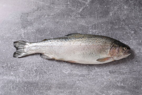 fish, food, fresh, isolated, seafood, raw, white, fishing, sea, animal, trout, healthy, fin, catch, 