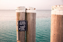 Heron Island Jetty With No Diving Or Jumping From Jetty Sign
