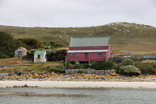 Rustic Buildings On West Point Island In The Falkland Islands.