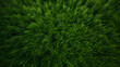 Green synthetic artificial grass football sports field with white corner striped lines
