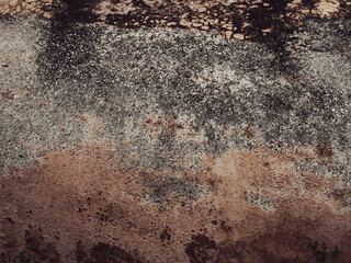 Wall Mural - Old cement texture for vintage background      