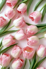 Poster - Pink tulips arranged in a bunch on a clean white surface. Suitable for various floral-themed projects or as a decorative element