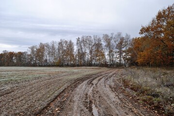 Canvas Print - Autumn walk through forests and fields, nature.