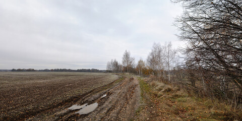 Sticker - Walking through the forest, beautiful panorama.