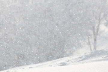 Wall Mural - snow falling on blurred winter background