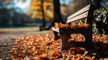 Amazing Shot Of A Wooden Bench In An Autumnal Par UHD WALLPAPER
