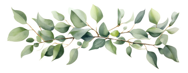 Naklejka na meble Green eucalyptus leaves stem twig wreath hand drawn.