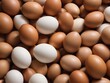 Bowls of white and brown eggs