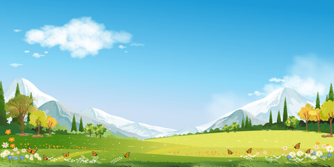 Wall Mural - Spring Background with Sky,Cloud,Grass field,Flower on Hill and Forest Tree in Village,Vector Cartoon Summer landscape peaceful rural nature in the park,Panoramic Banner for Easter