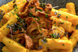 Penne pasta with herbs on plate. Delicious homemade pasta, serving food for restaurant, menu, advert or package, close up, selective focus