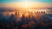 Amidst The Morning Haze, The Autumn Forest Comes To Life With A Sun-kissed Sky, Revealing A Peaceful Landscape Of Misty Trees And Distant Buildings