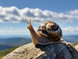 © artist - snail on a rock