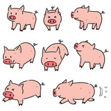 Fototapeta Dinusie - vector set of pig